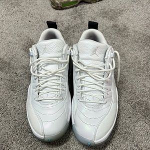 Air Jordan 12 multicolor